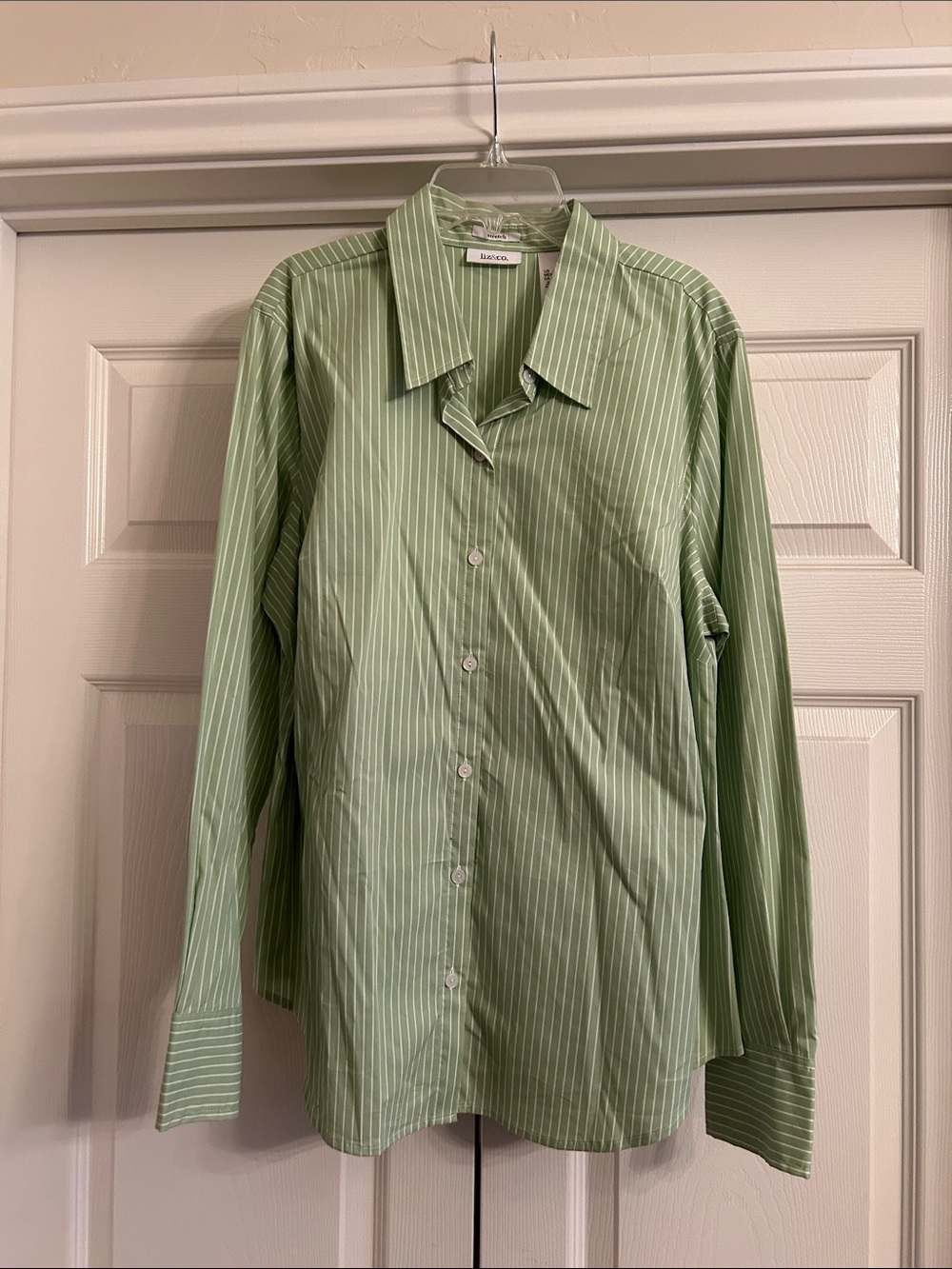 Liz&Co Green Vertical Stripe Dress Shirt